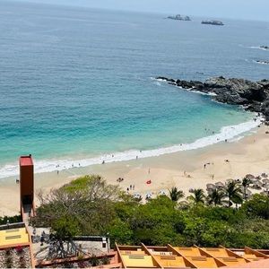 Meet your Posher, Gummybearcloset